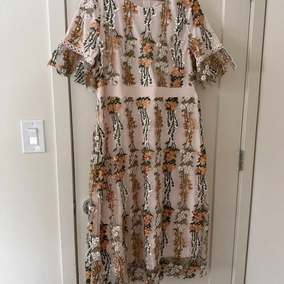 Embroidered Floral Midi Dress in Blush - Picture 1 of 7